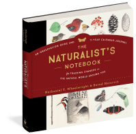 The Naturalist’s Notebook