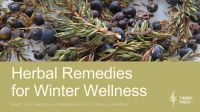 Herbal Remedies for Winter Wellness